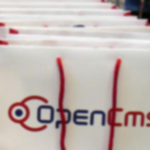 OpenCms is easy to use
